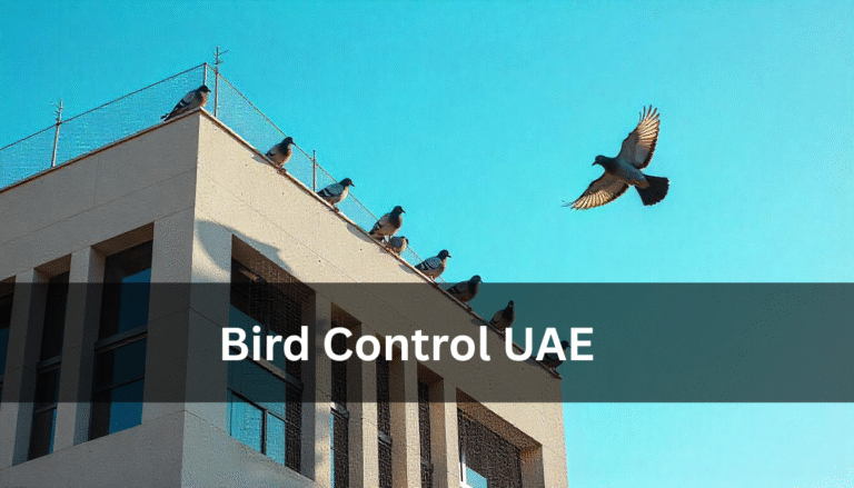 Bird Control UAE: Effective Solutions in Dubai & Sharjah by Experts